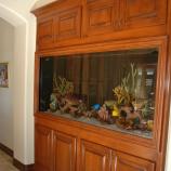 aquarium